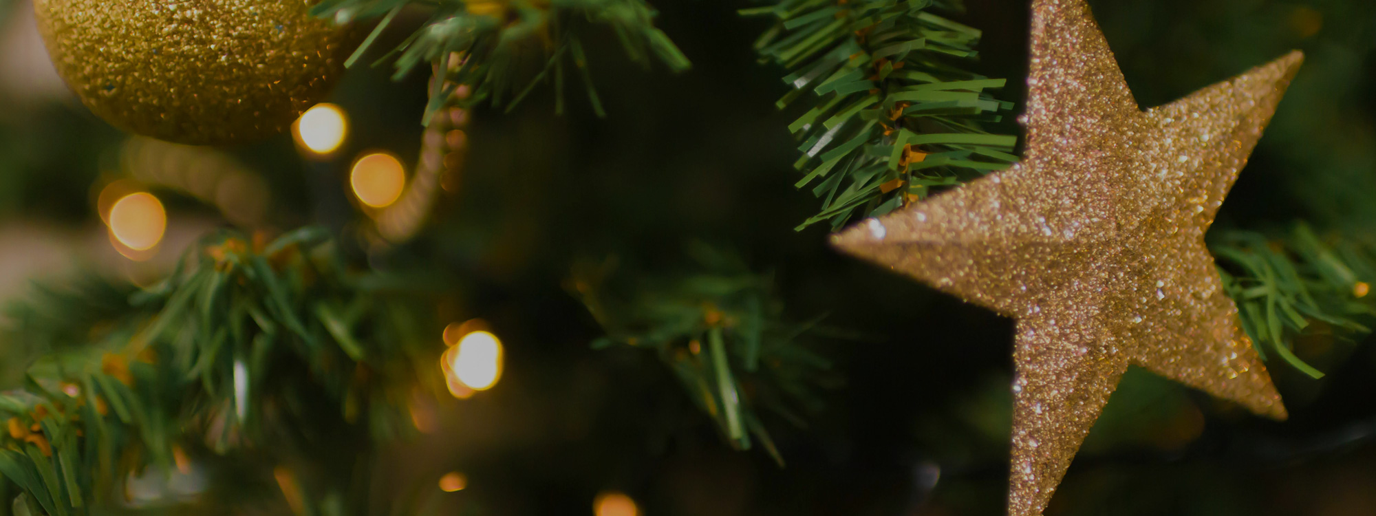 Welcome!*Explore our Church