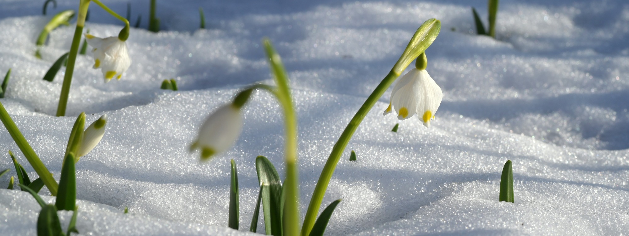 Welcome!*Explore our Church